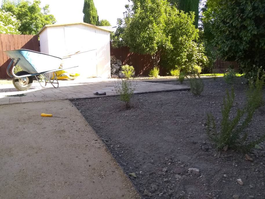 Gardening & Planting services