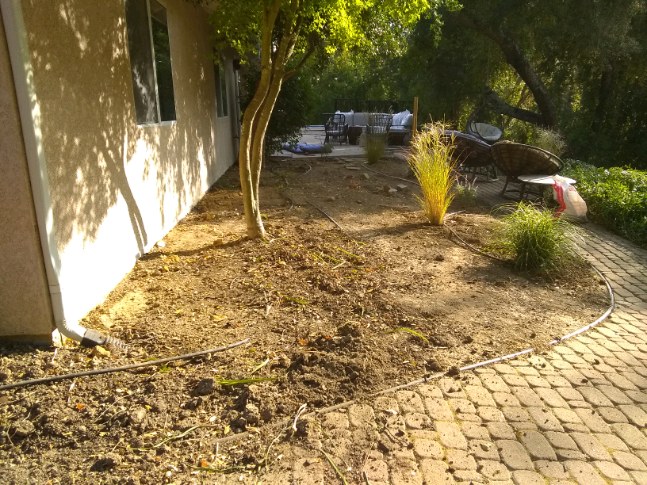 Landscape Cleanup