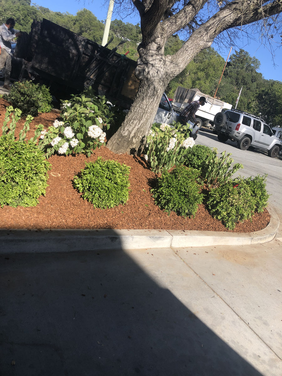 images-19