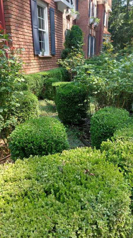 images-71