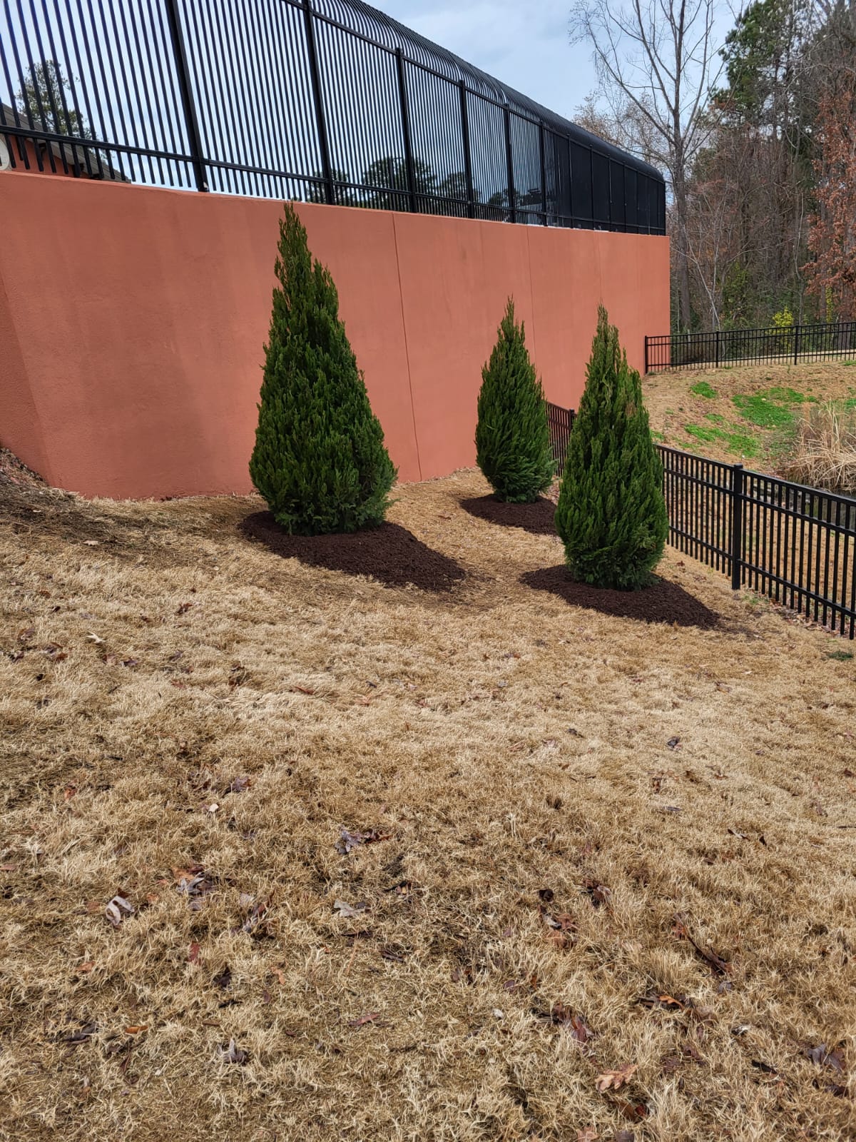 images-29
