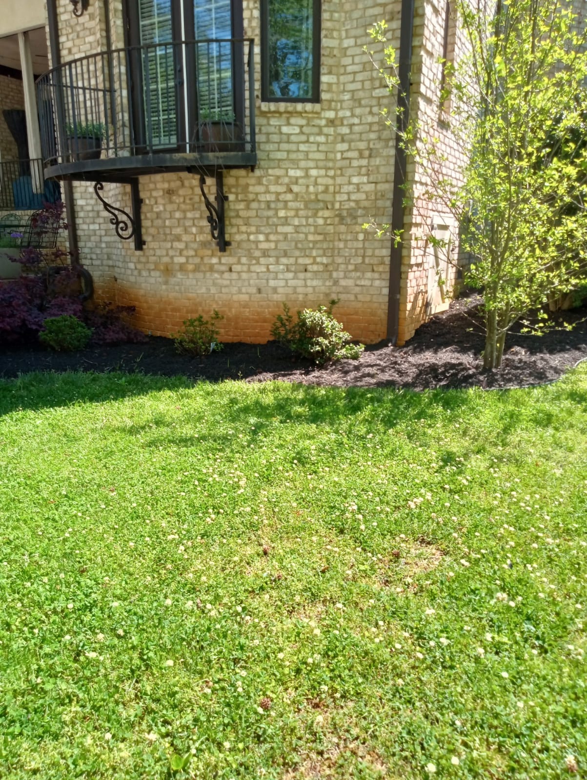 images-2