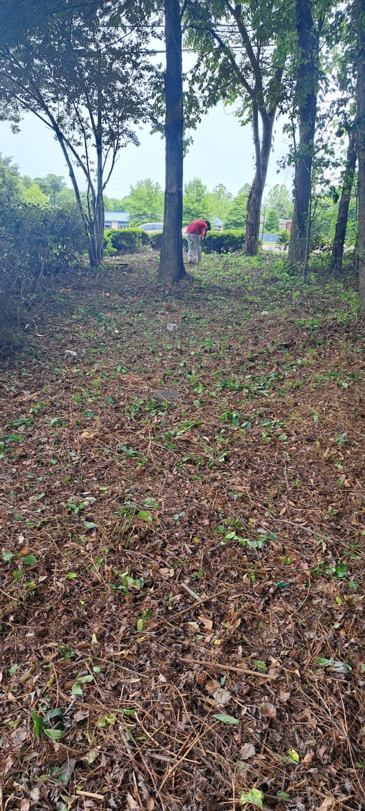 images-1