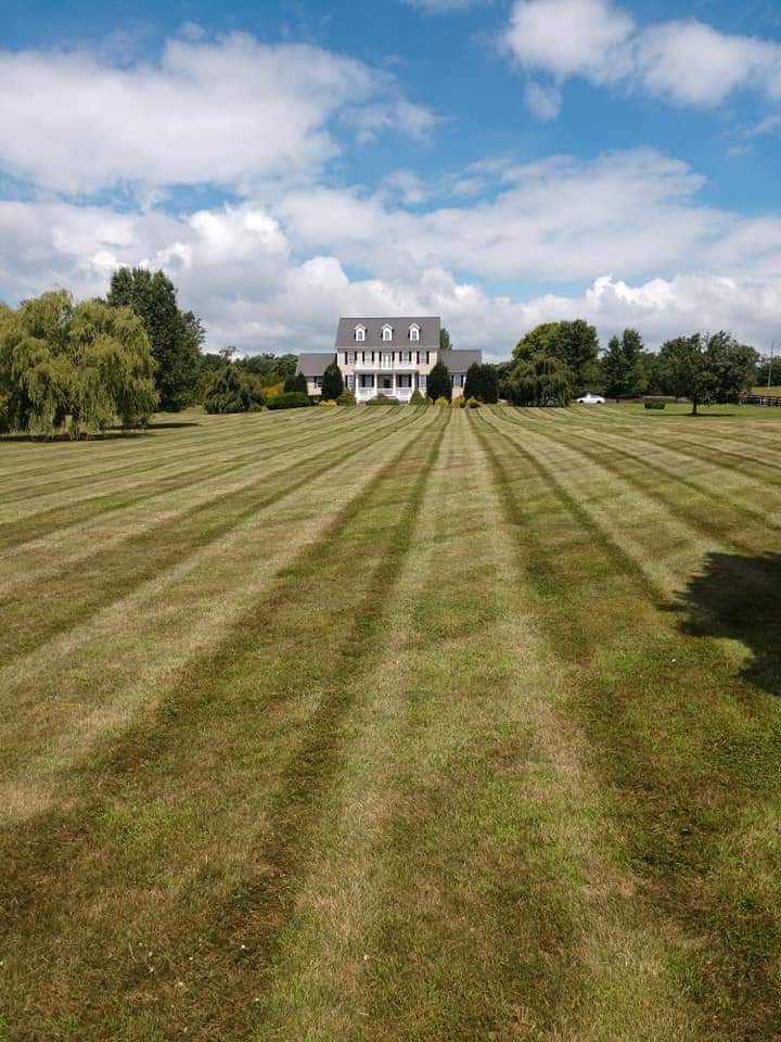 Lawn Care