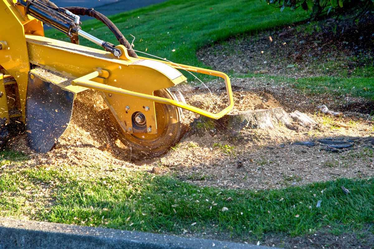 Stump Grinding background