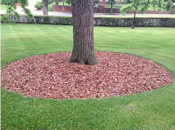 Mulching background
