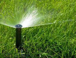 Irrigation Service