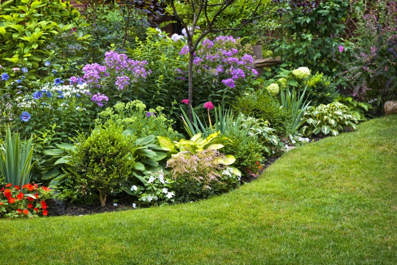 Plant Bed Maintenance