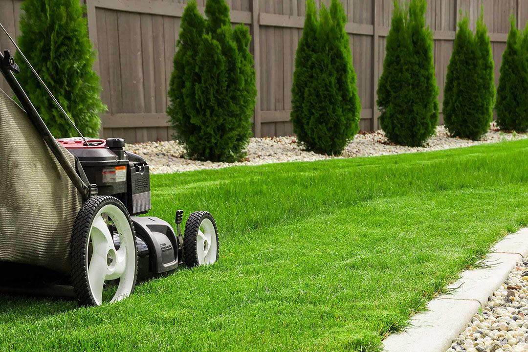 Lawn Mowing background
