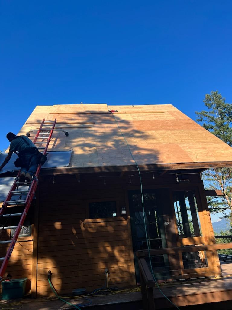 Salinas Contracting Llc background