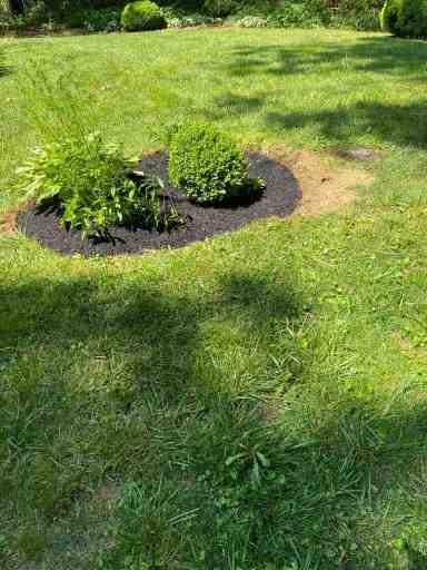 images-10