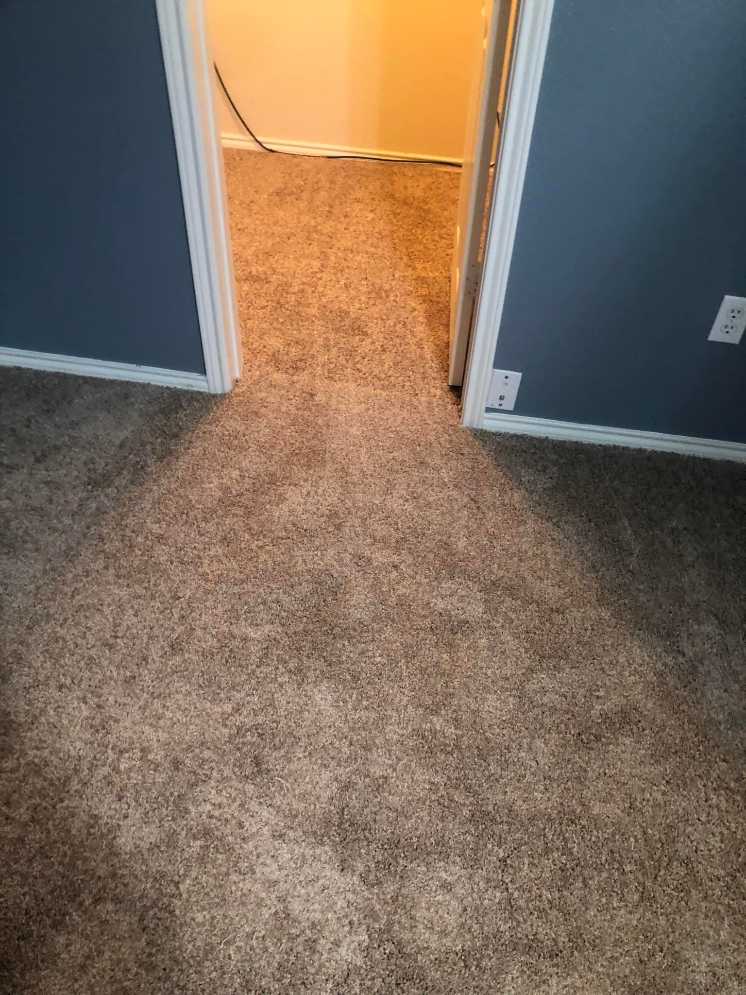 Carpet Installation