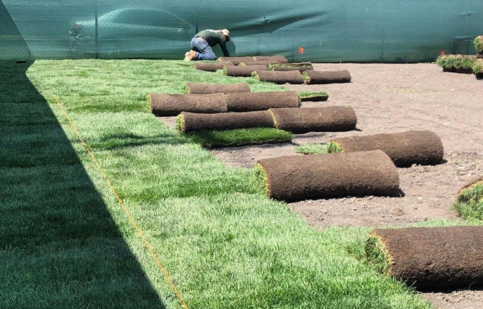 Landscape solutions tailored to your needs