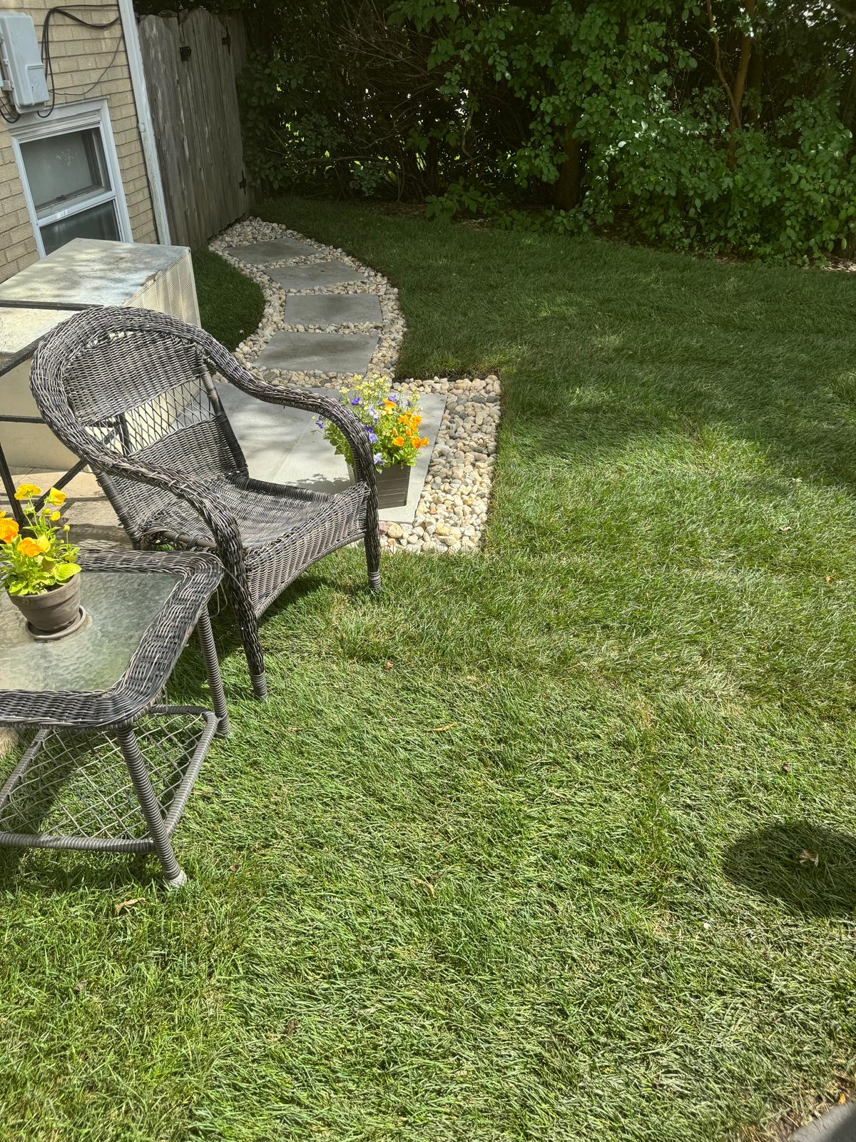 AN Lopez´s Landscaping