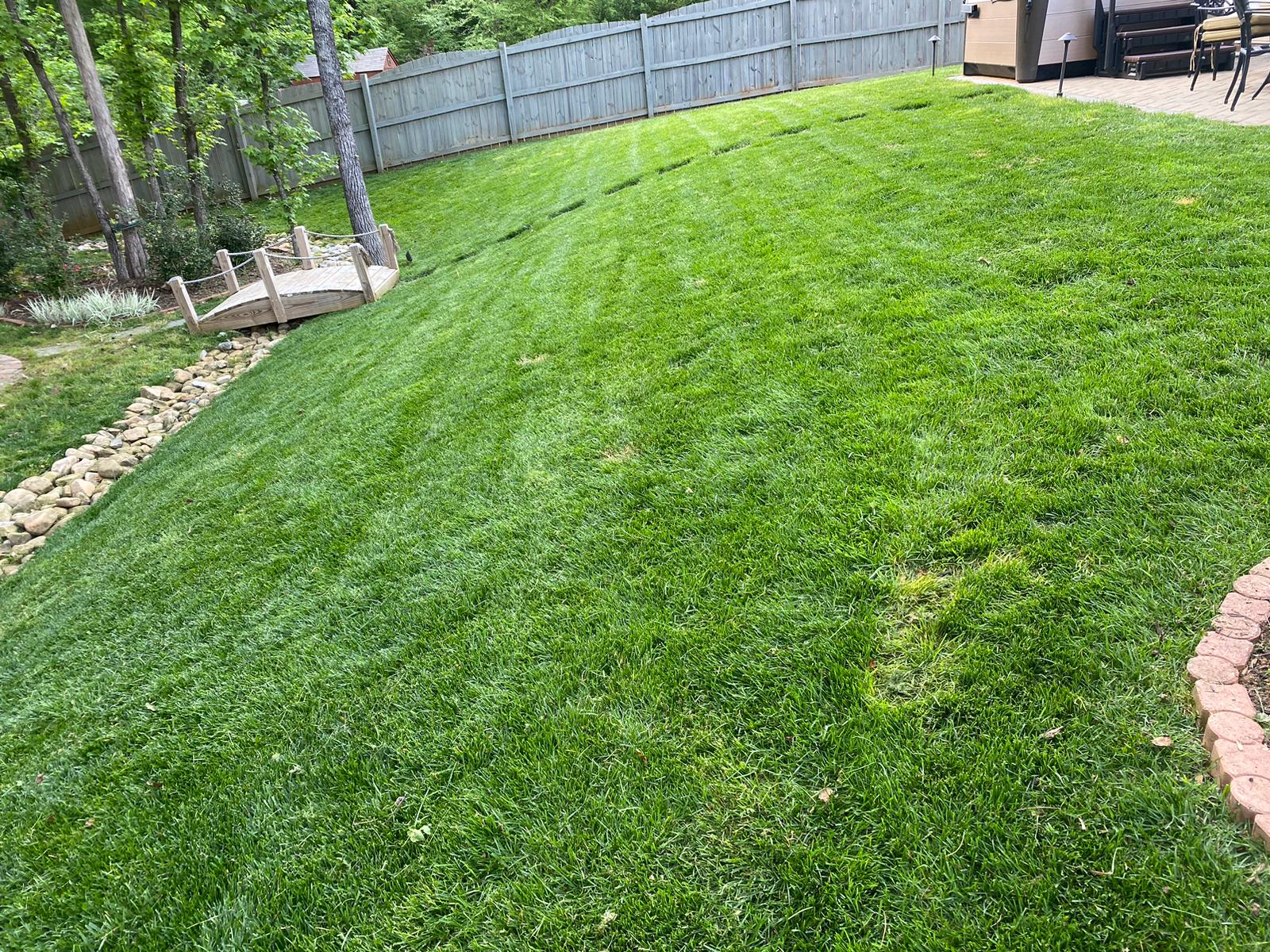 Revitalize your outdoor space with our expert touch