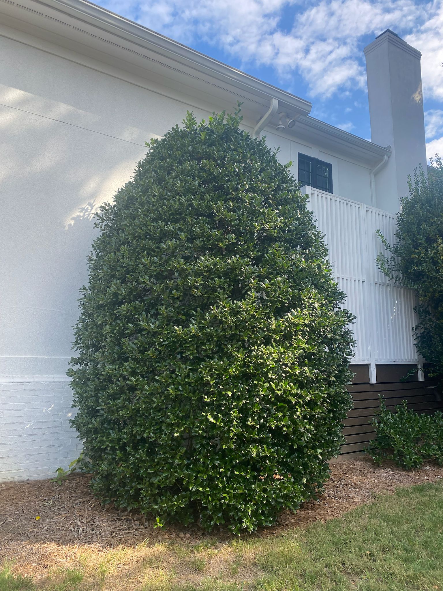 From design to maintenance, we have you covered