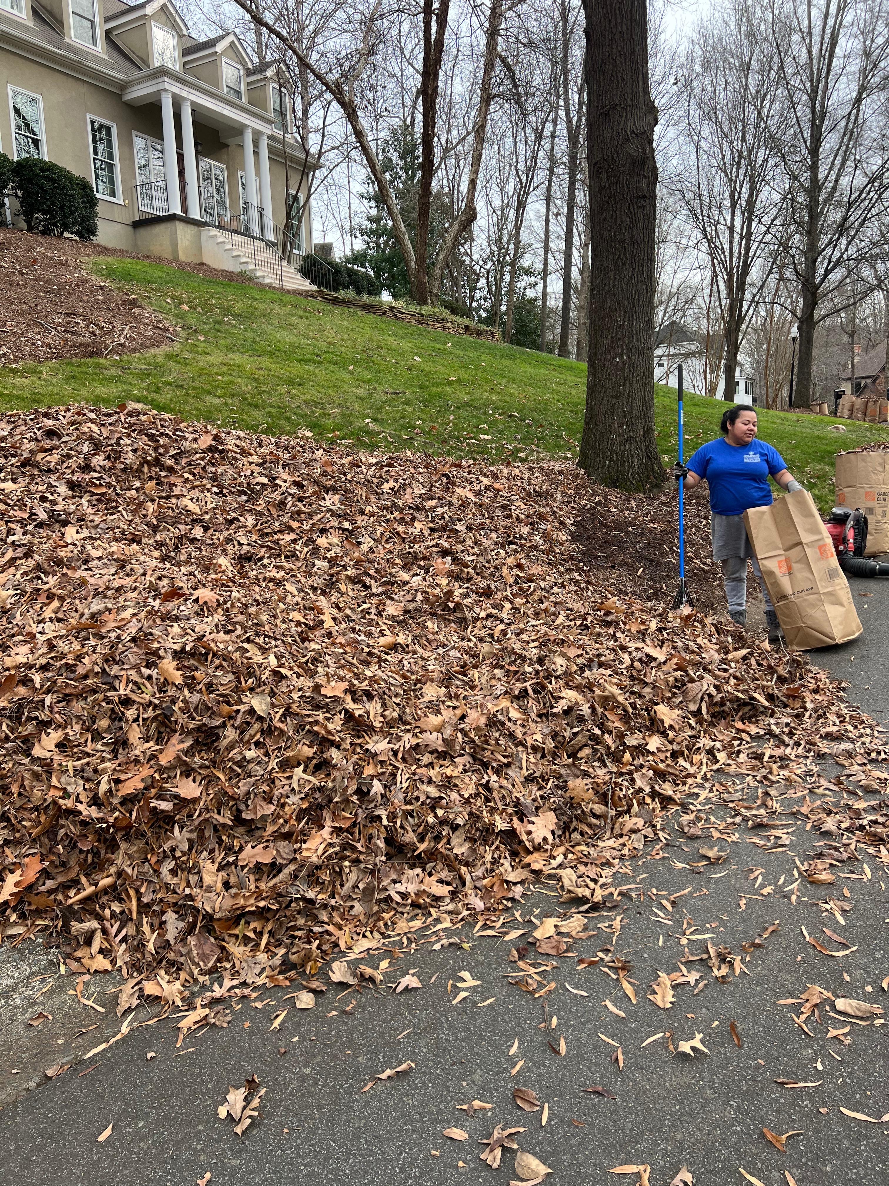 Jose Santos Landscaping