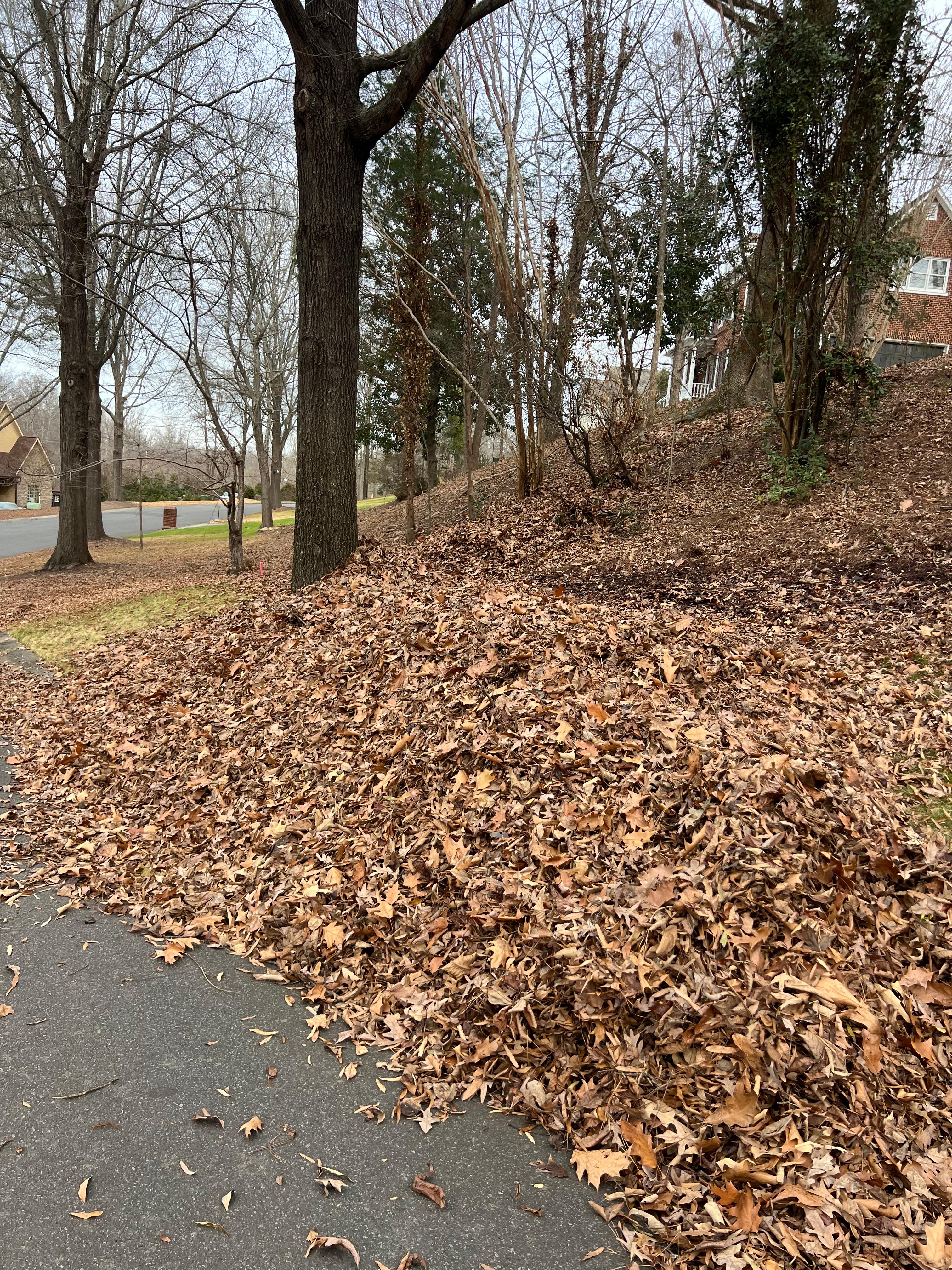 Jose Santos Landscaping