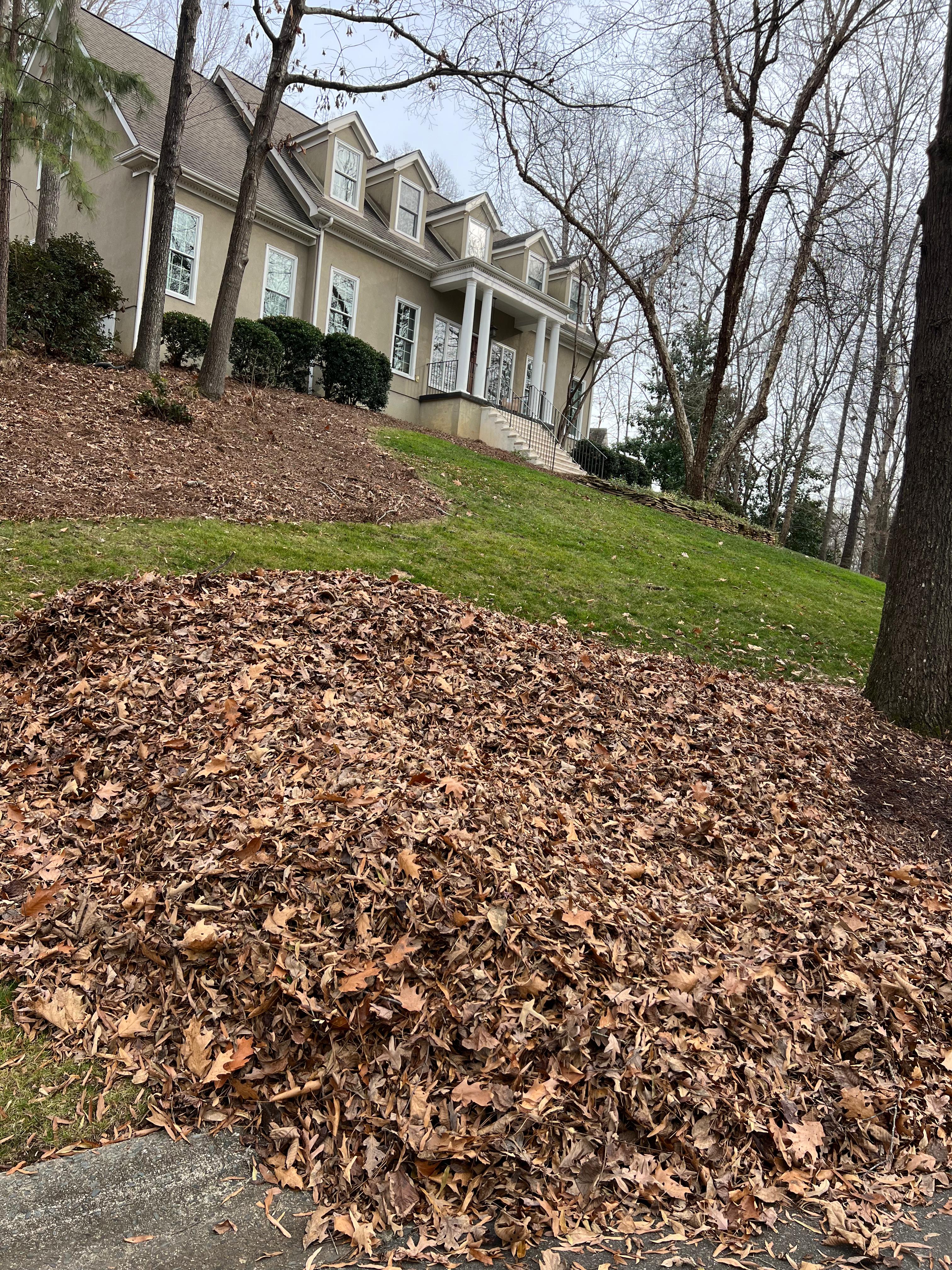 Jose Santos Landscaping