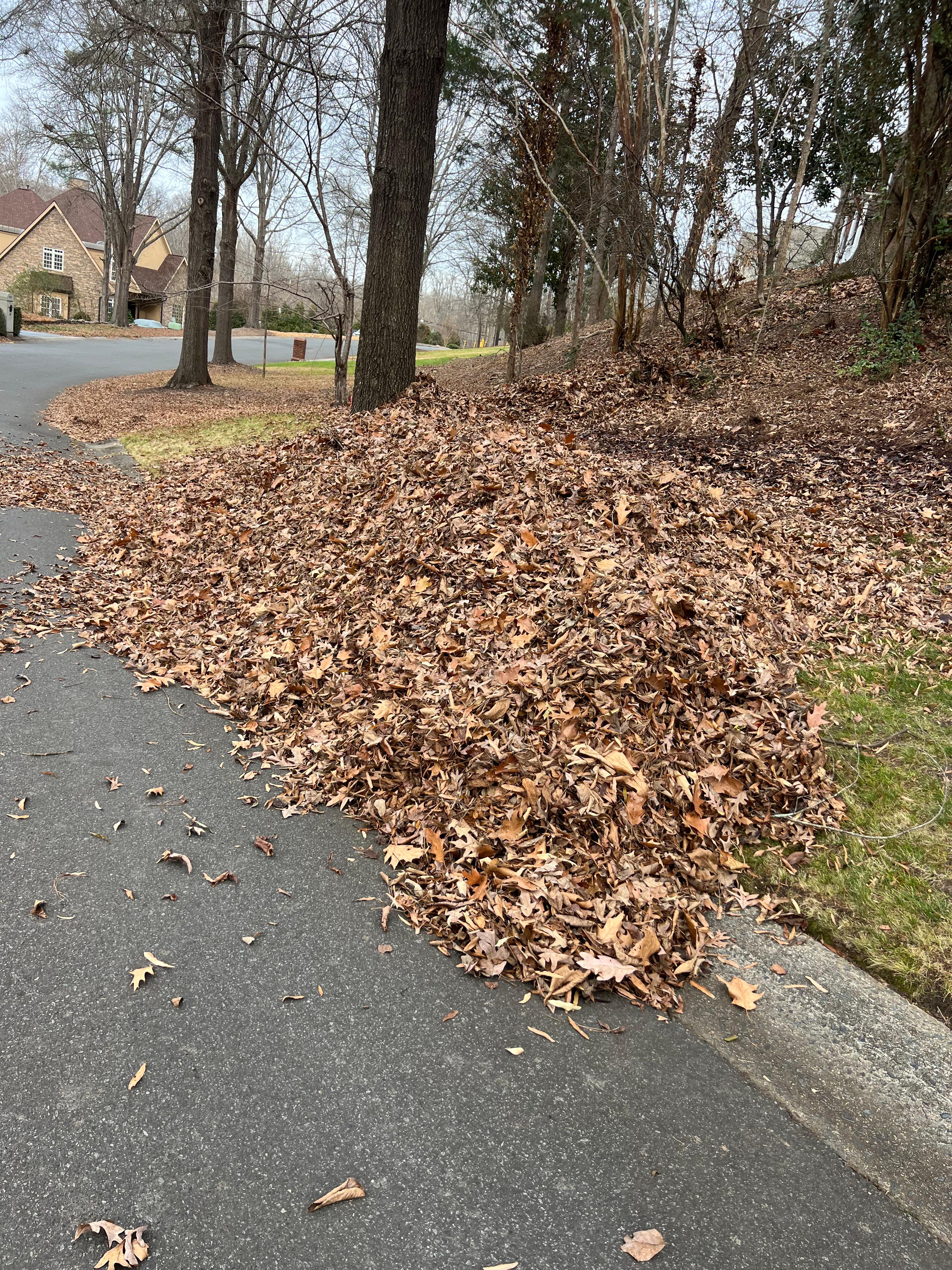 Jose Santos Landscaping