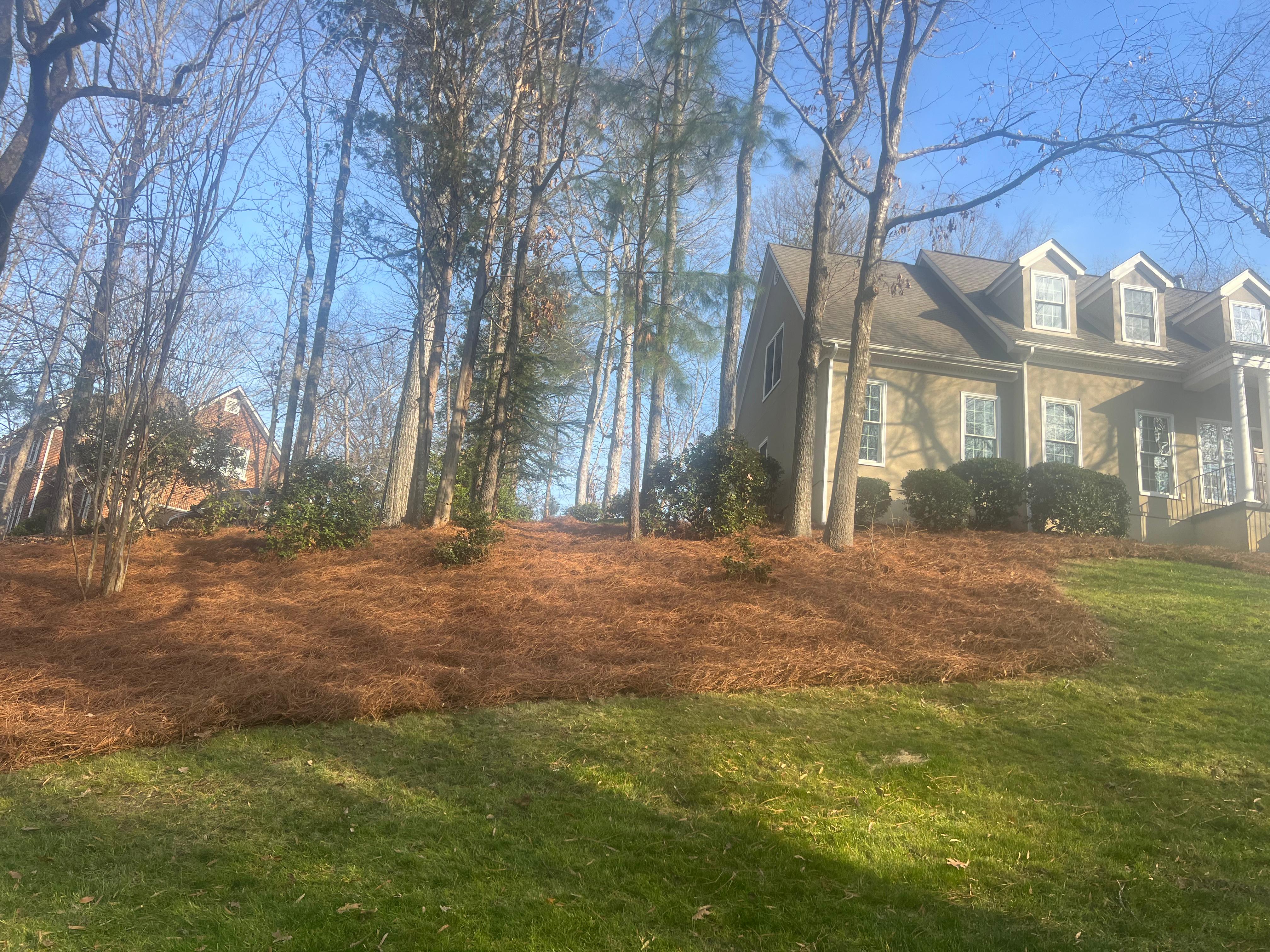 Revitalize your outdoor space with our expert touch