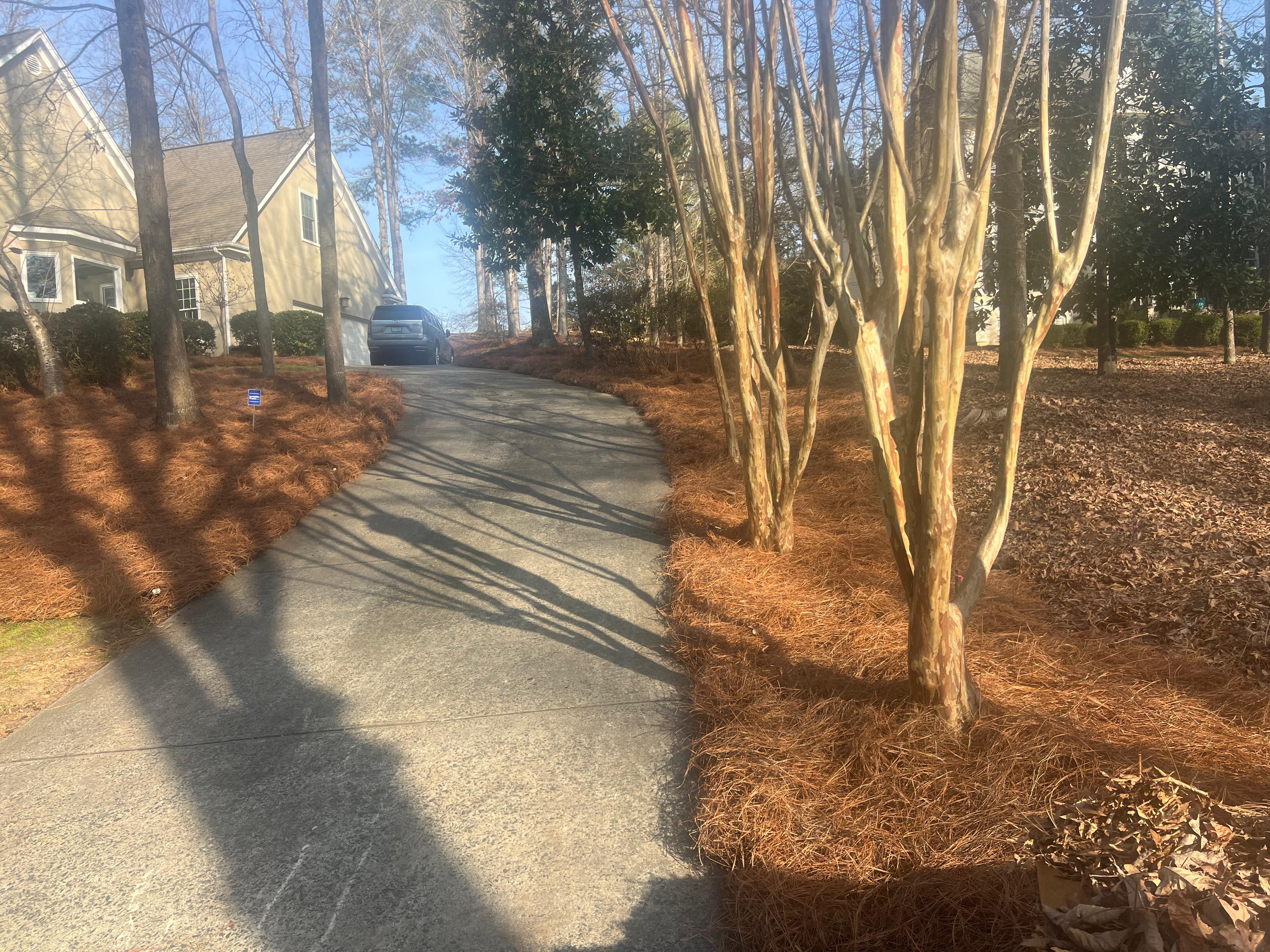 Revitalize your outdoor space with our expert touch