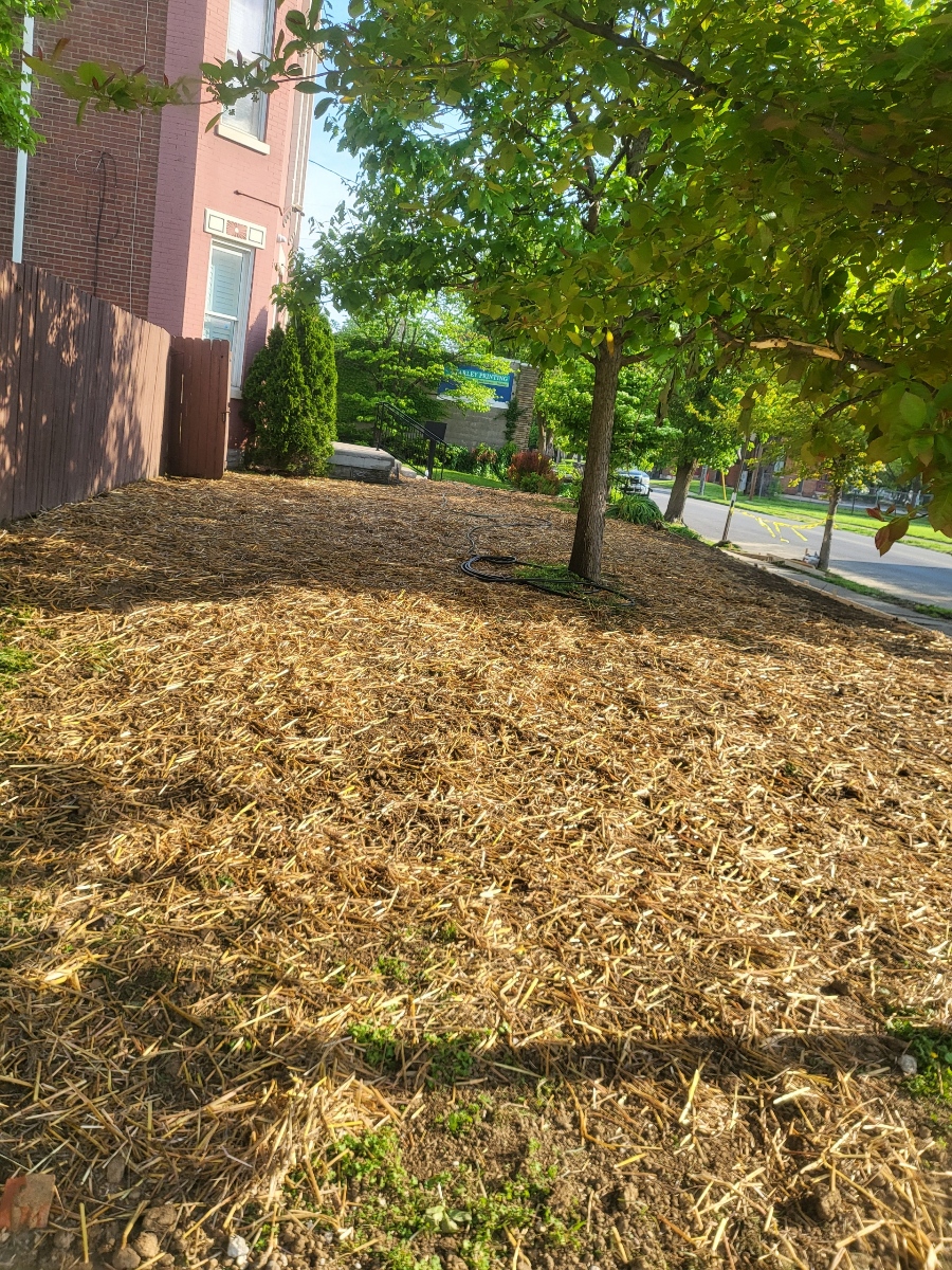 Building trust with expertise earned over years