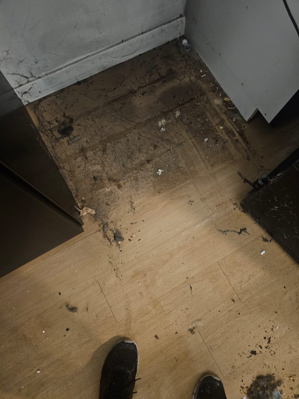 images-3