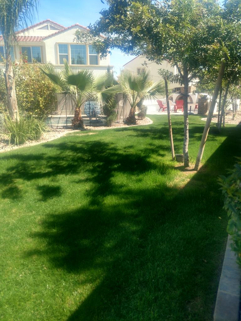images-223
