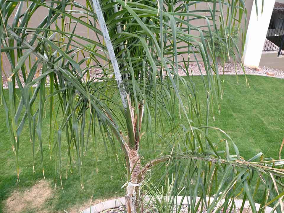 images-203