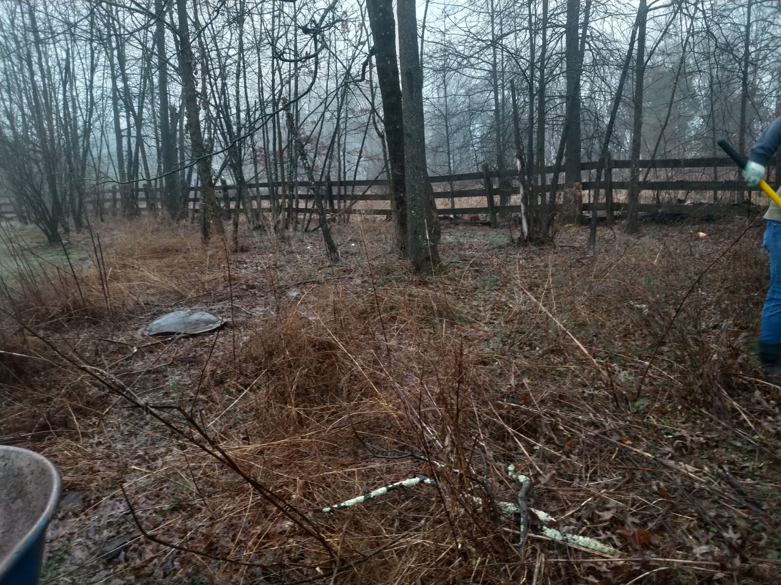 images-46