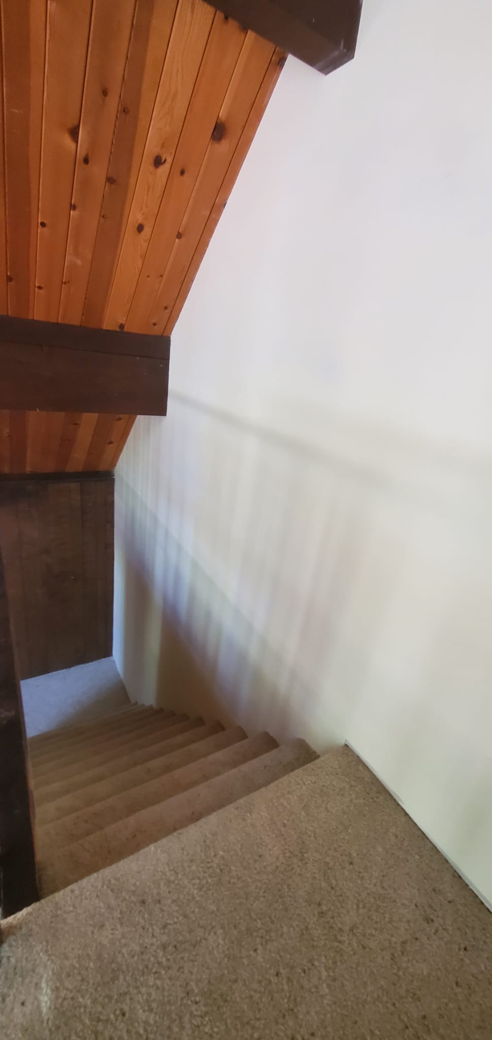 images-8