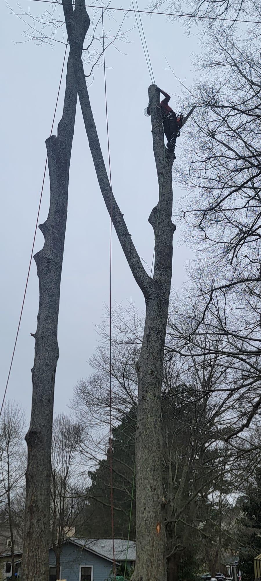 images-218
