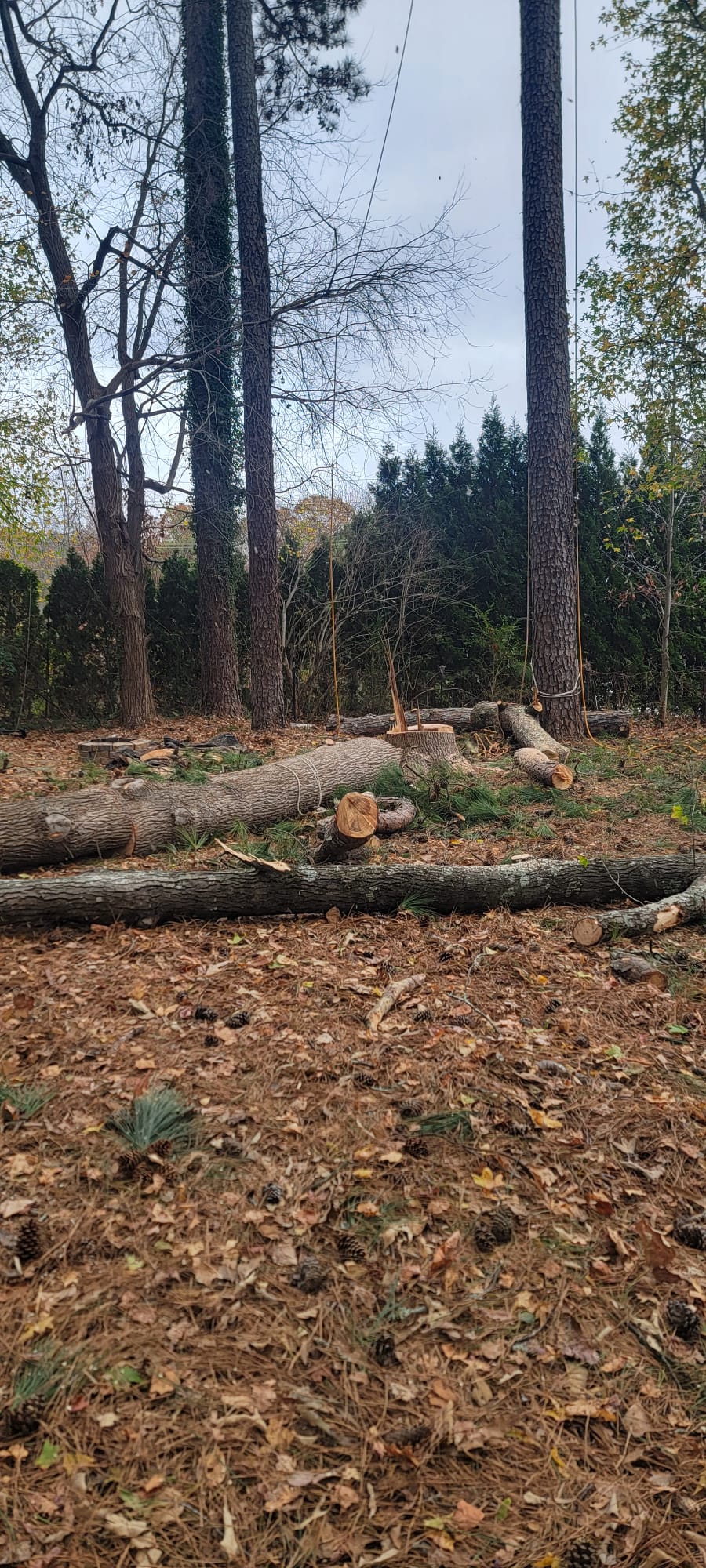 images-86