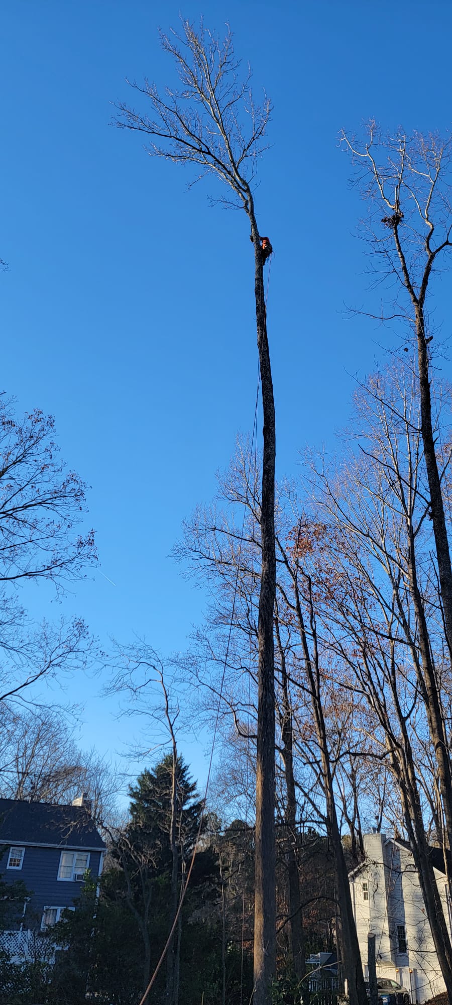 images-60