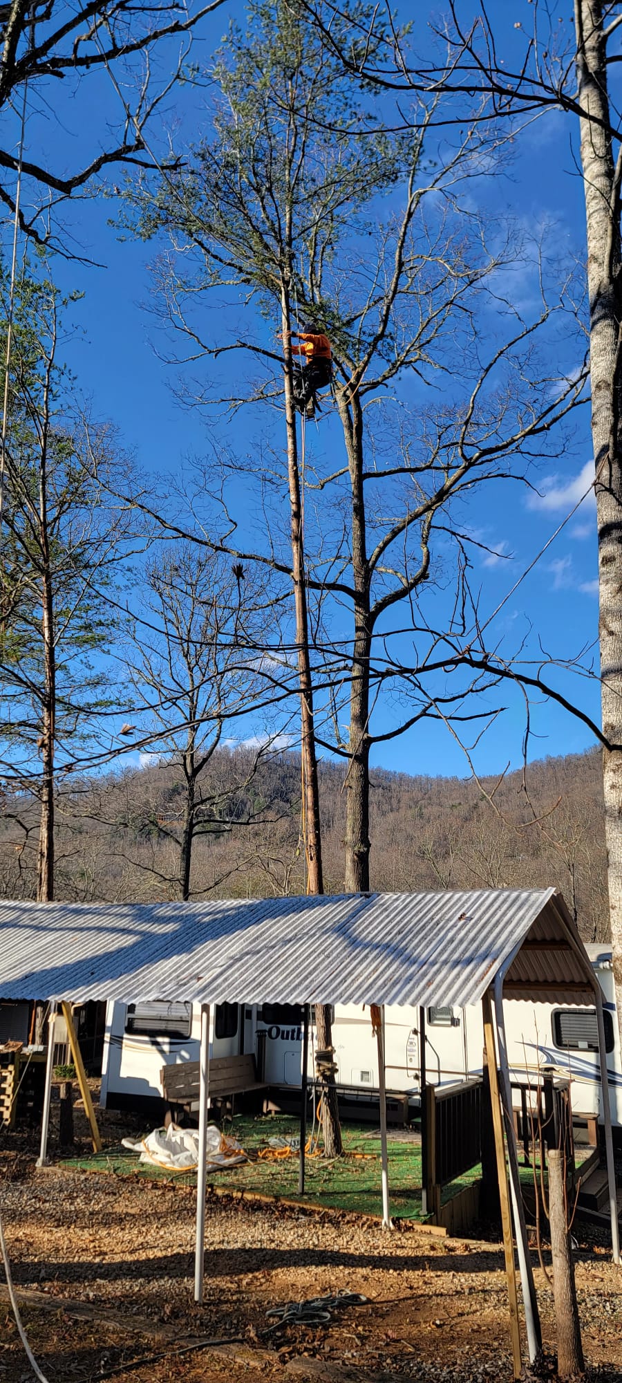 images-46