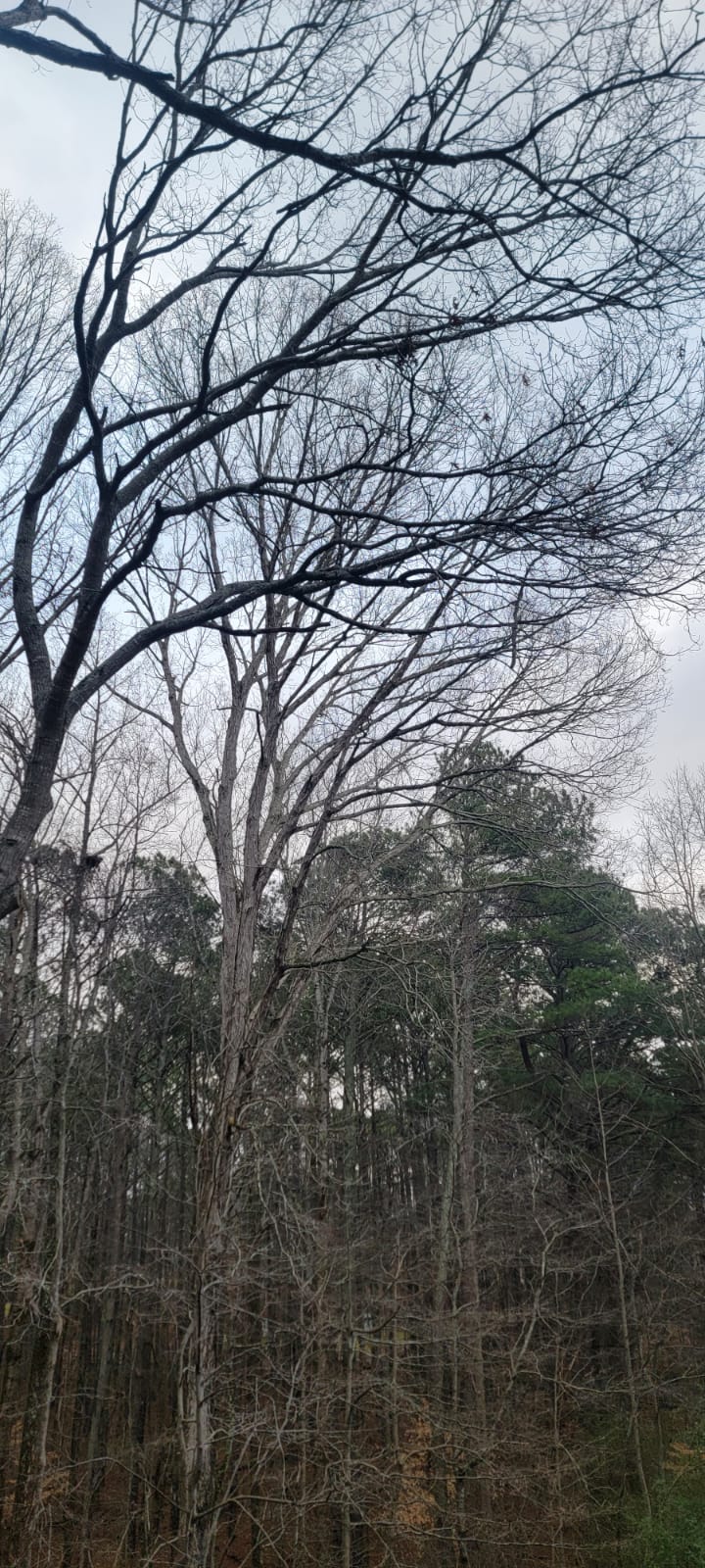images-360