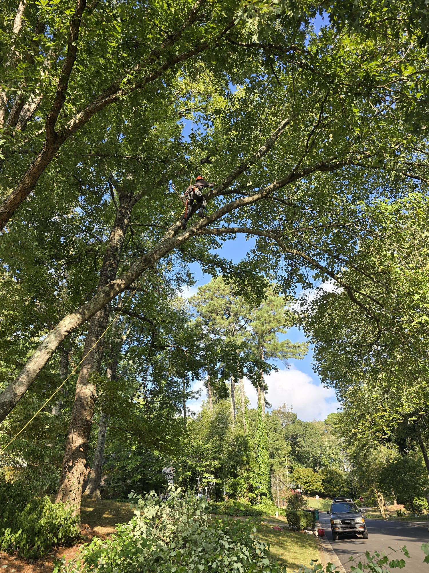 images-5