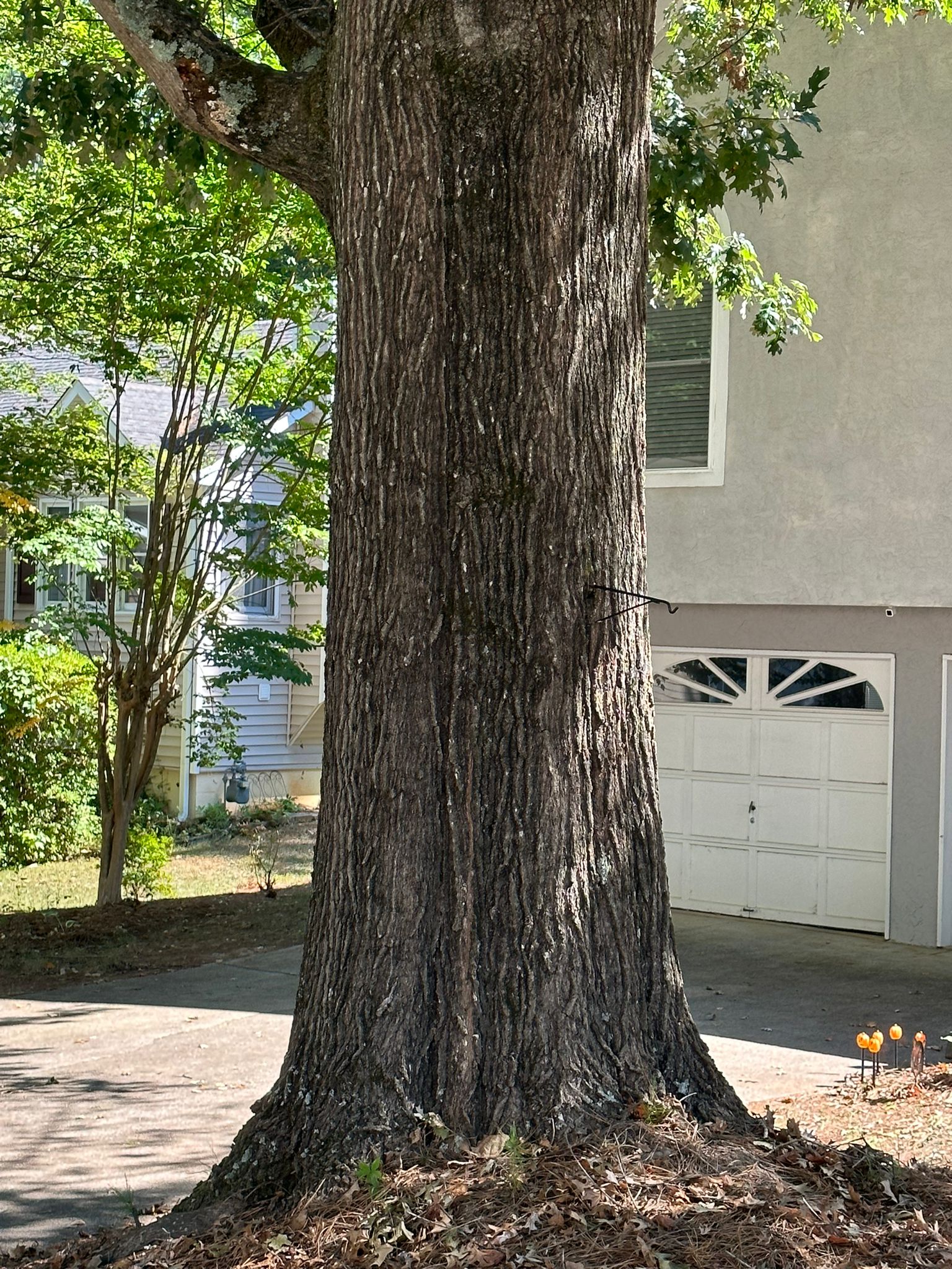 images-11