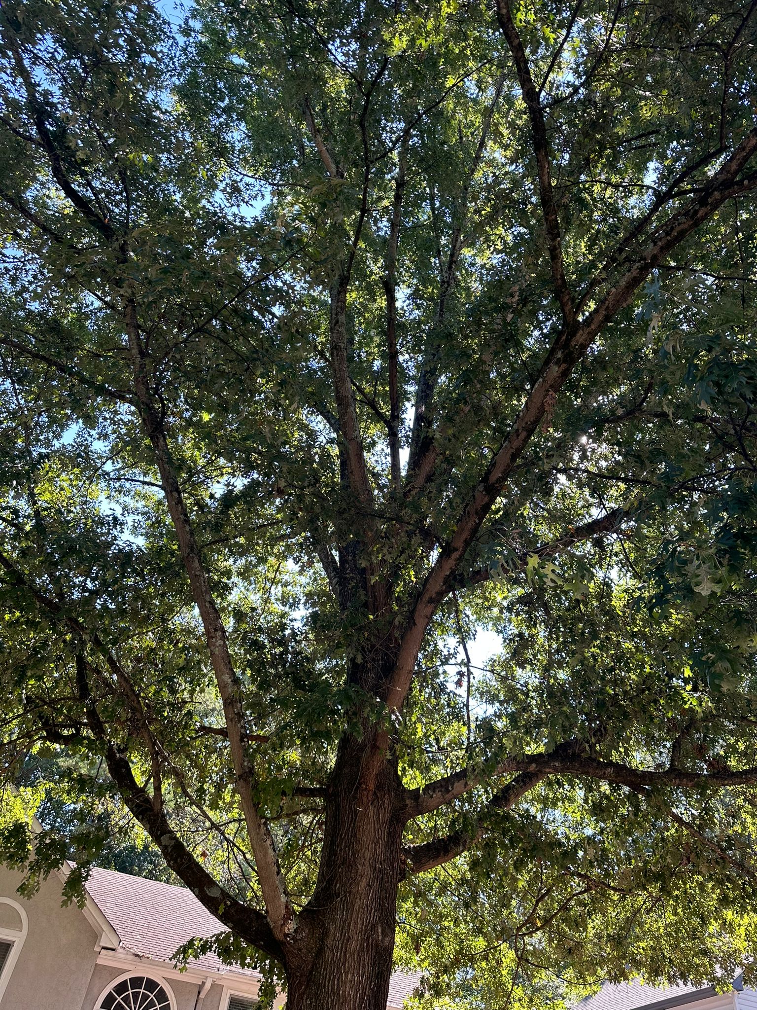 images-1