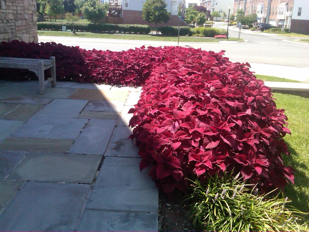 images-0