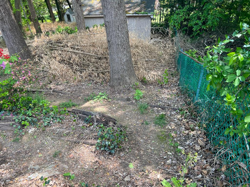 images-5
