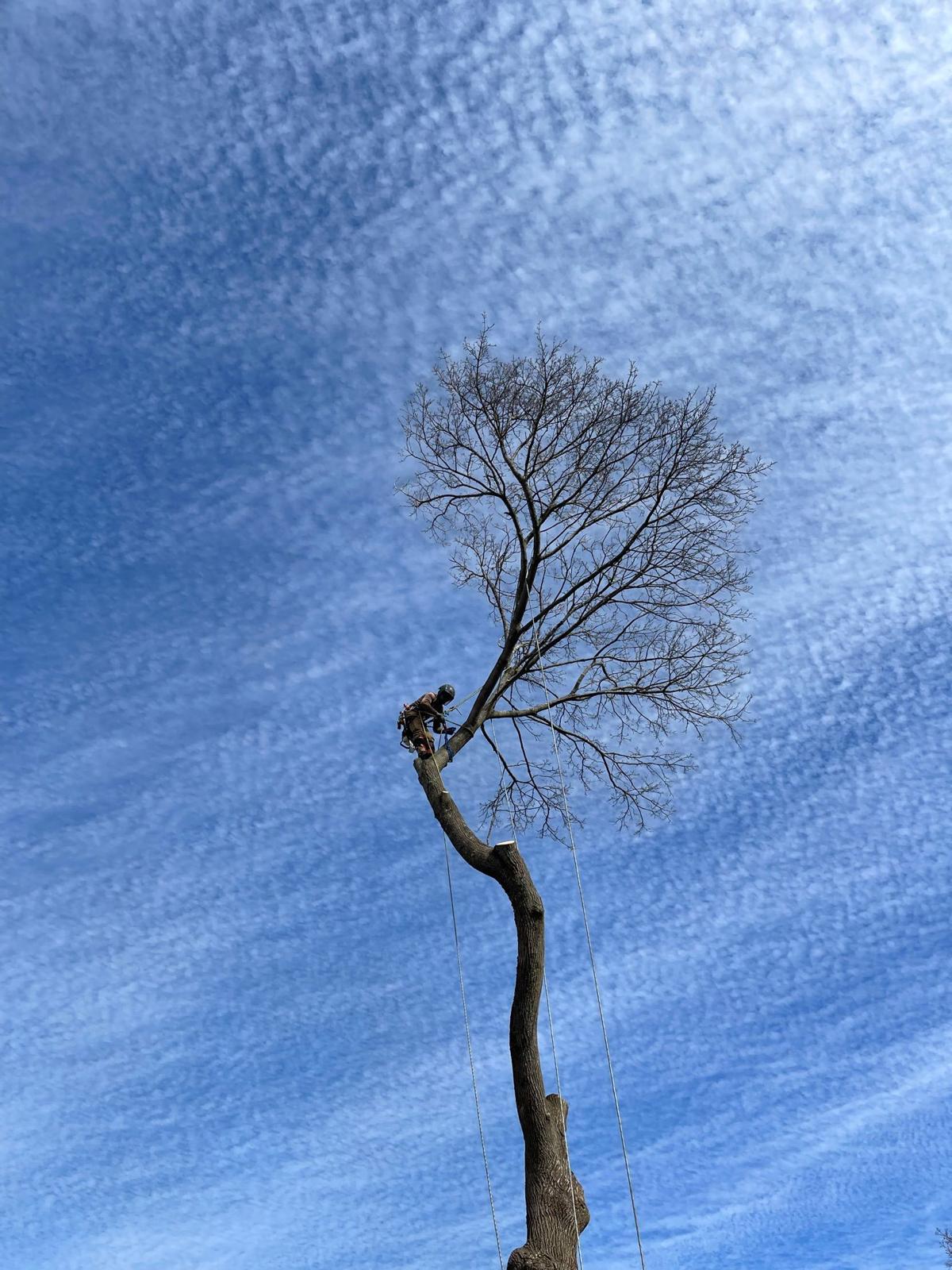 images-9
