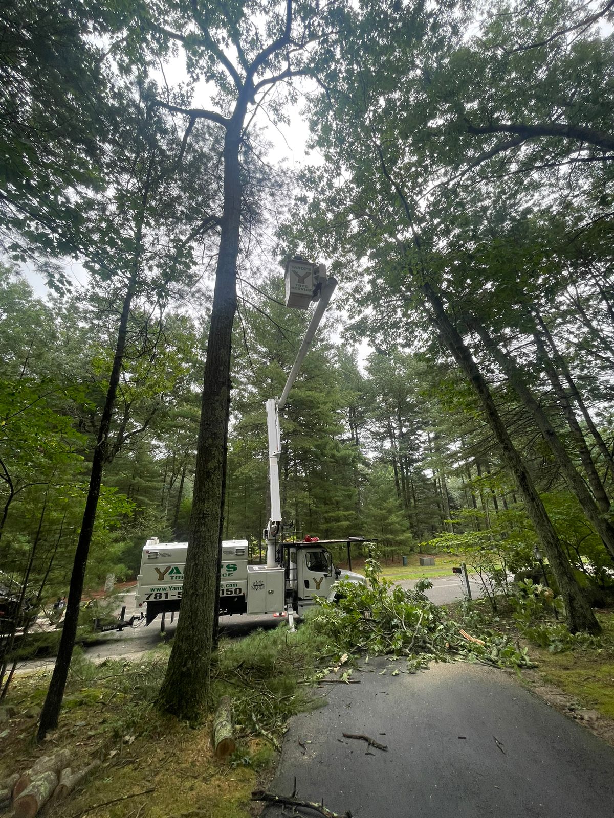 images-2