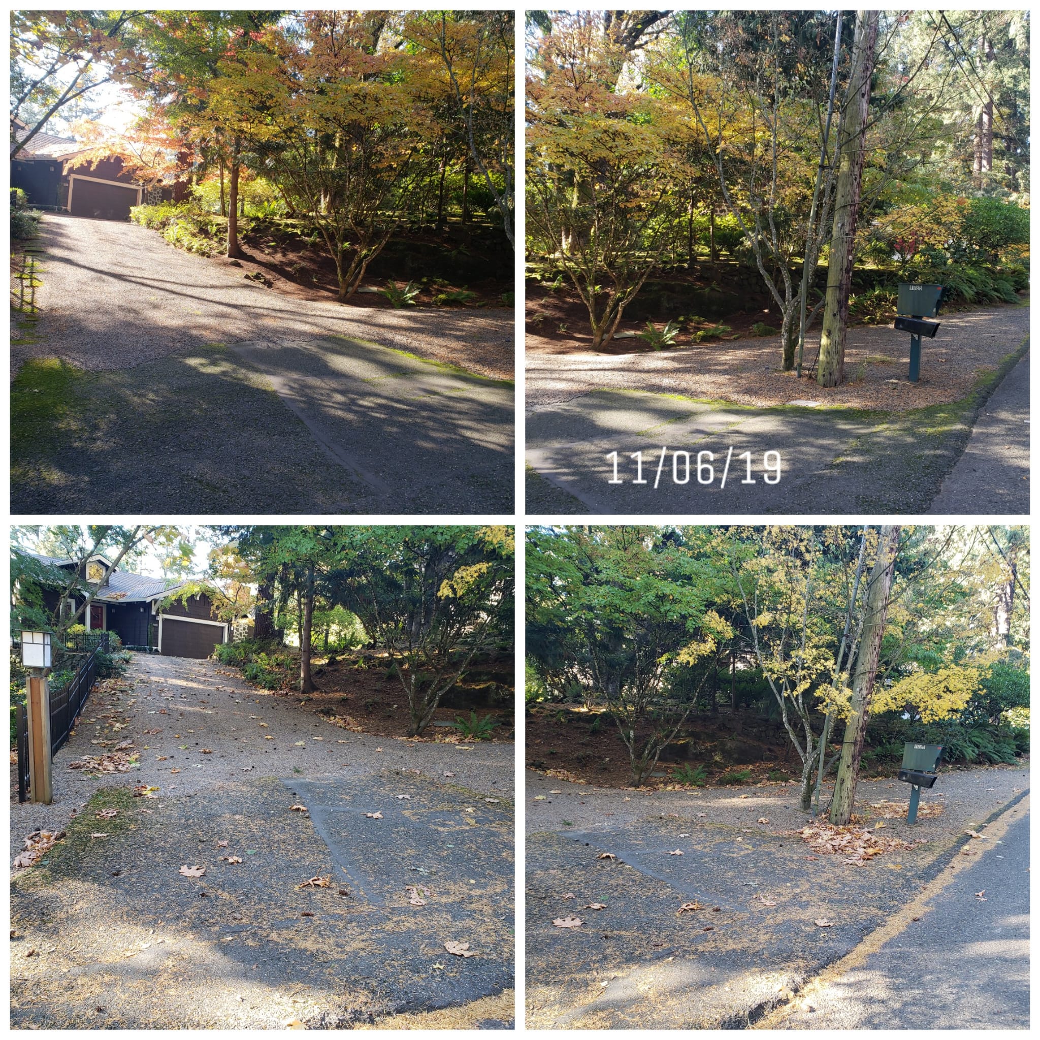 images-11