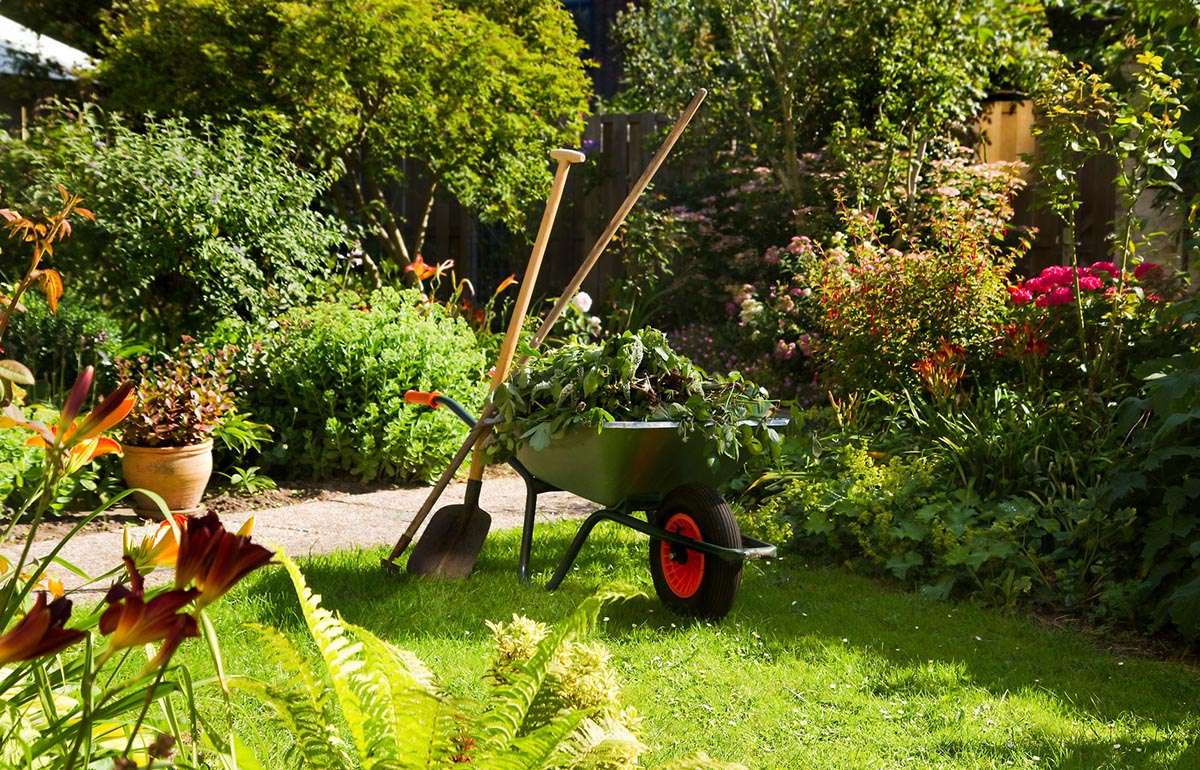Garden Installation