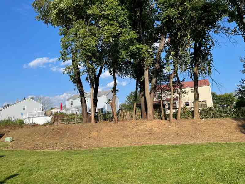 images-23