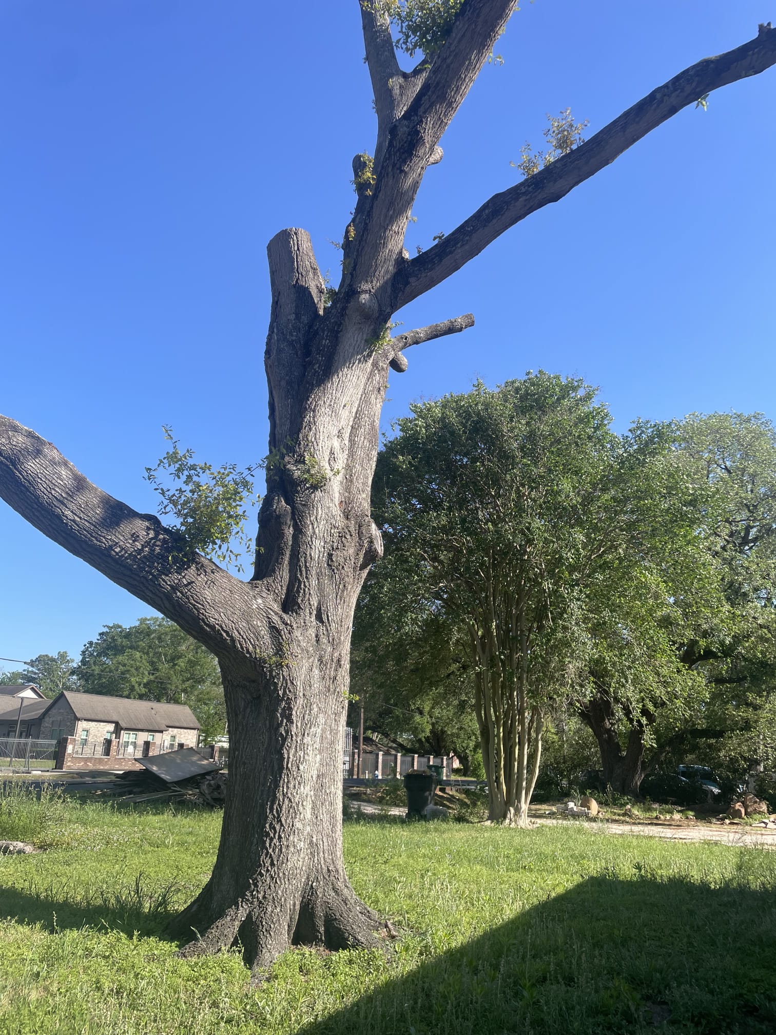 images-8