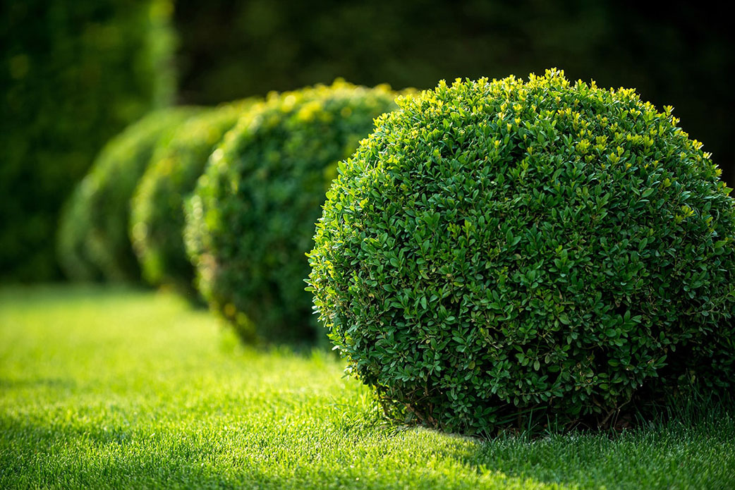 images-28