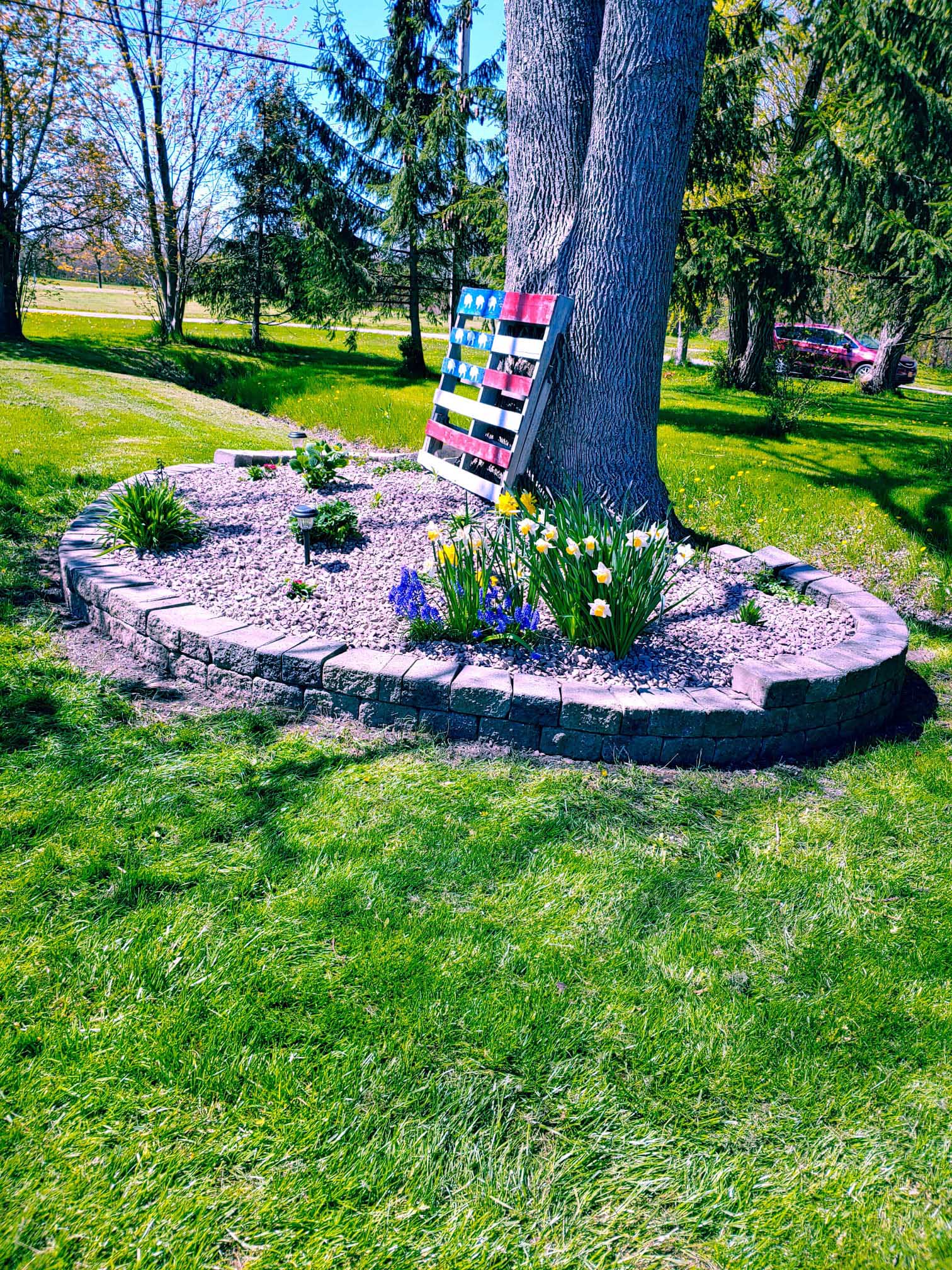 images-61